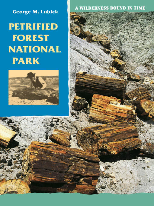 Title details for Petrified Forest National Park by George M. Lubick - Available